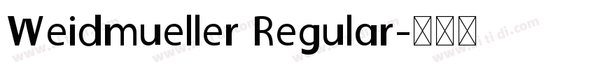 Weidmueller Regular字体转换
